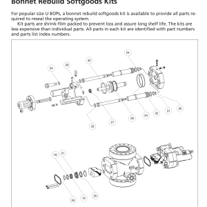 DEENPU U BOP Bonnet Kits Seals