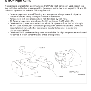 DEENPU U BOP Pipe Rams Part Numbers