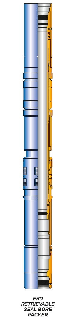ERD Retrivable Seal Bore Packer