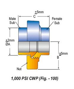 Hammer Unions Fig 100-1502 | 1000-20000 PSI